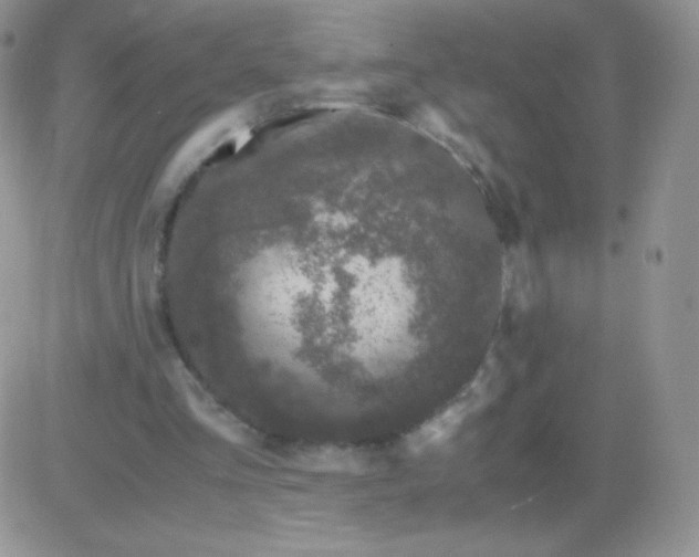 X0000081390293200701252111