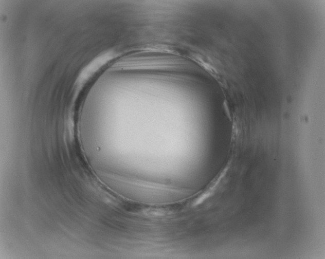 X0000081390294200701252111