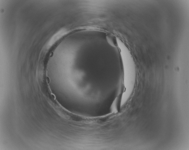 X0000081390295200701252111