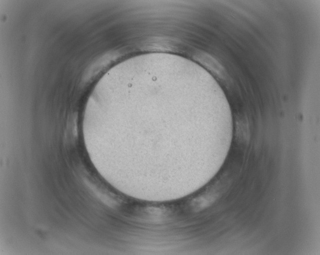 X0000081390302200701252111