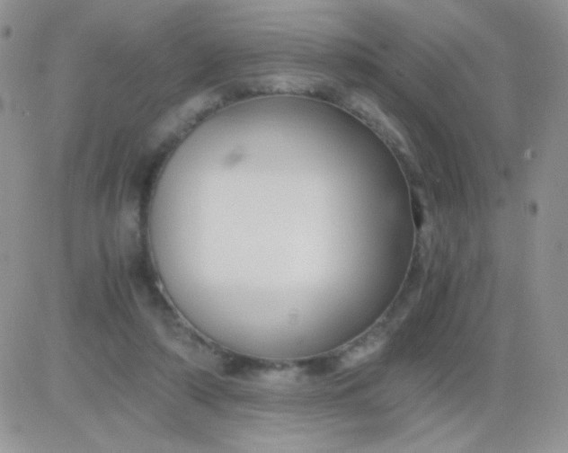 X0000081390306200701252111