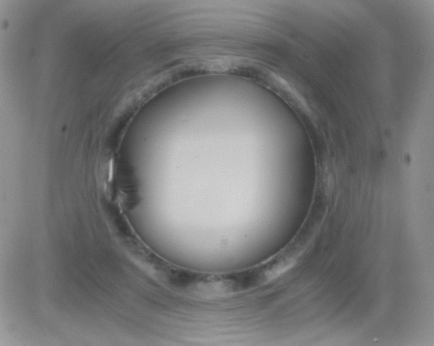 X0000081390307200701252111