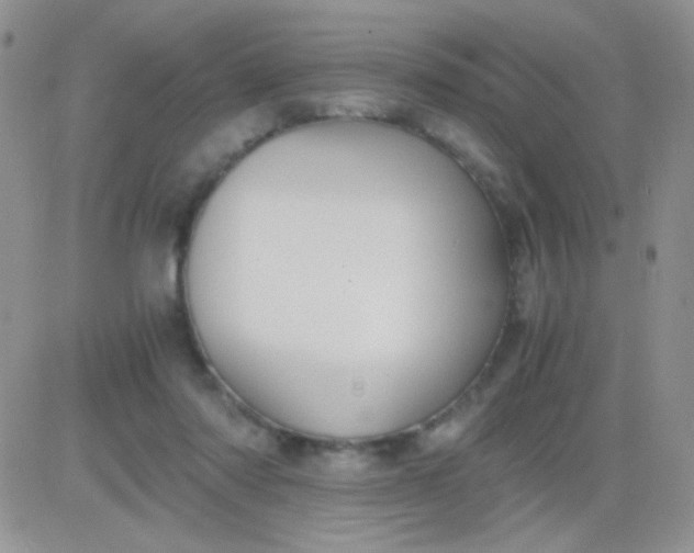 X0000081390310200701252111