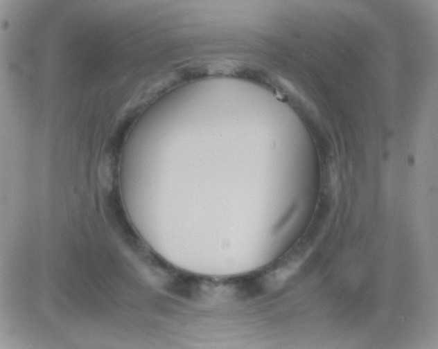 X0000081390311200701252111