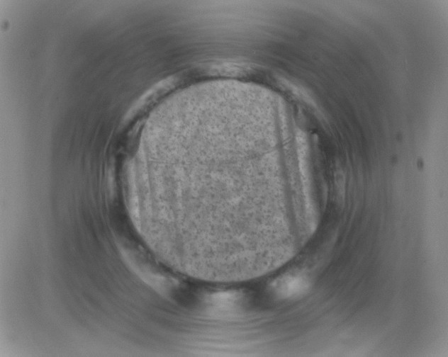 X0000081390312200701252111