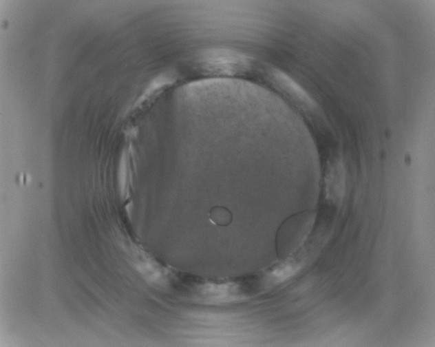 X0000081390314200701252111