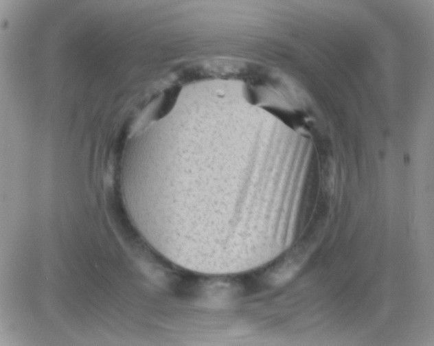 X0000081390315200701252111