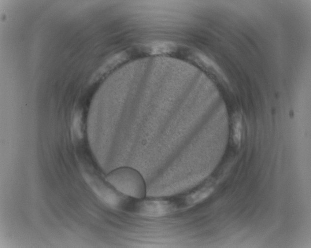 X0000081390316200701252111