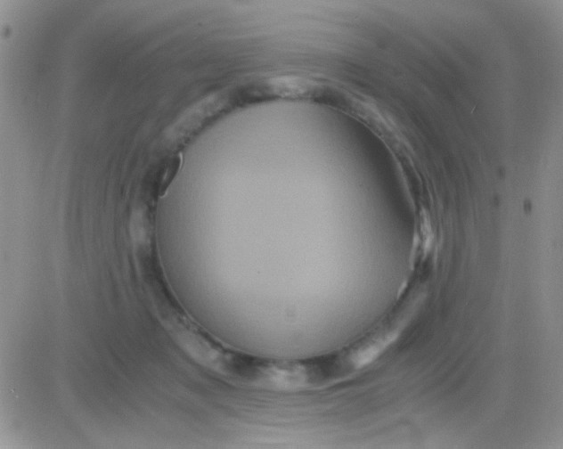 X0000081390317200701252111