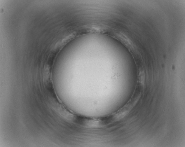 X0000081390318200701252111