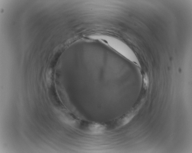 X0000081390319200701252111