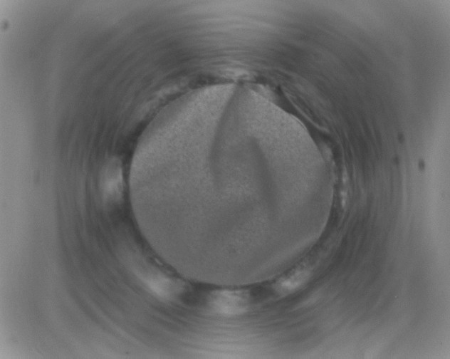 X0000081390320200701252111