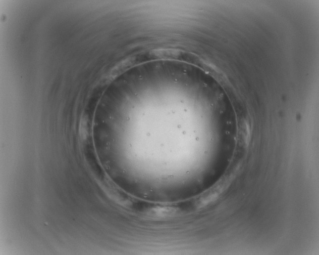 X0000081390323200701252111