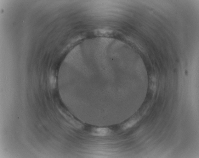 X0000081390324200701252111