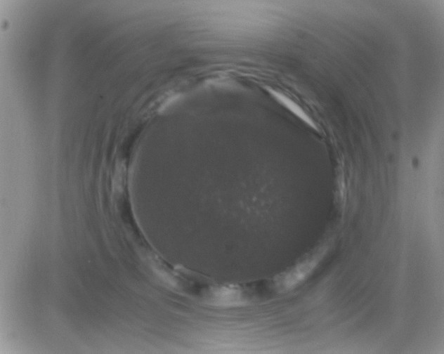 X0000081390325200701252111