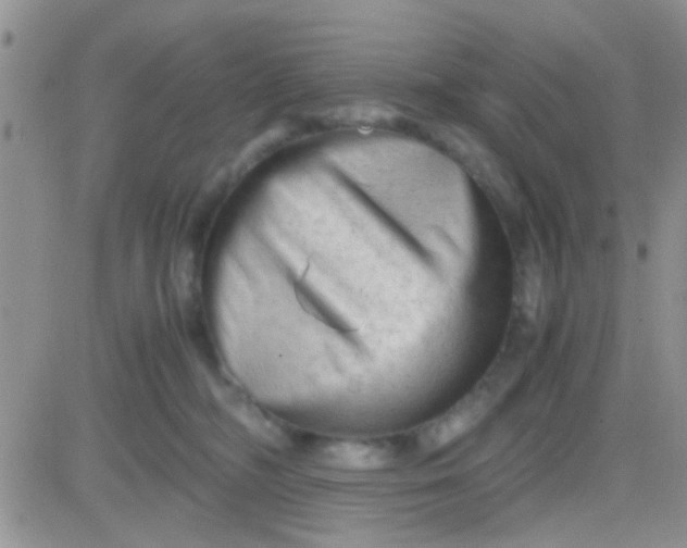 X0000081390326200701252111