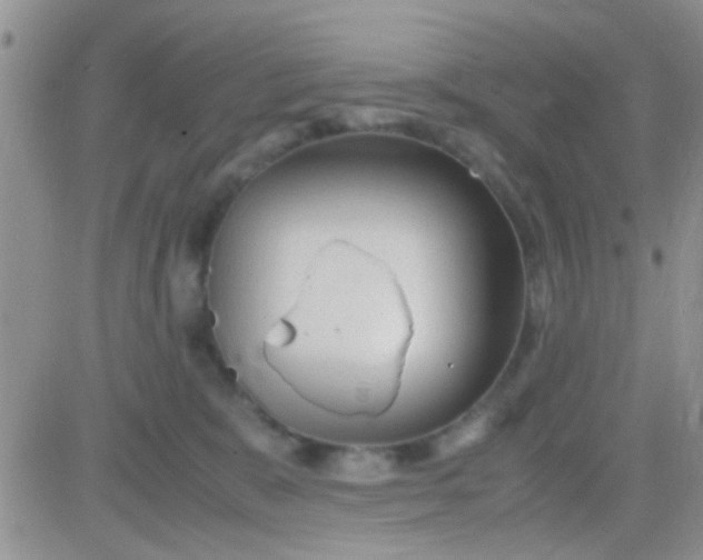 X0000081390327200701252110