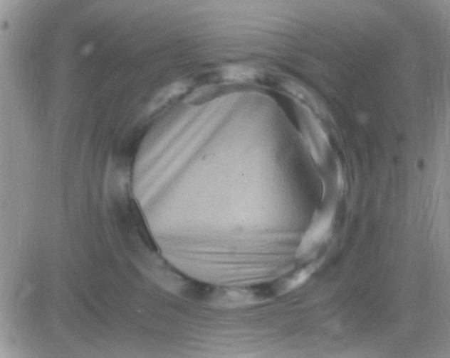 X0000081390329200701252110