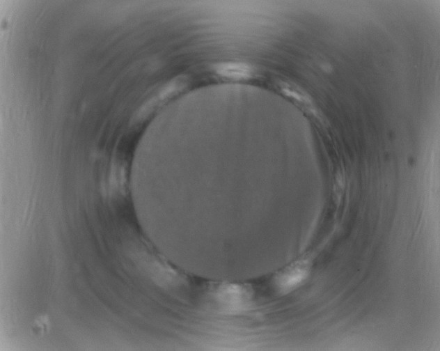 X0000081390330200701252110