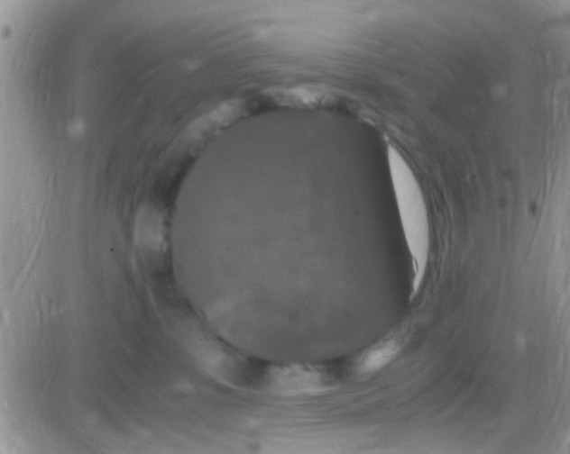 X0000081390331200701252110