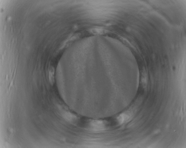 X0000081390332200701252110