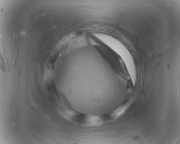 X0000081390333200701252110