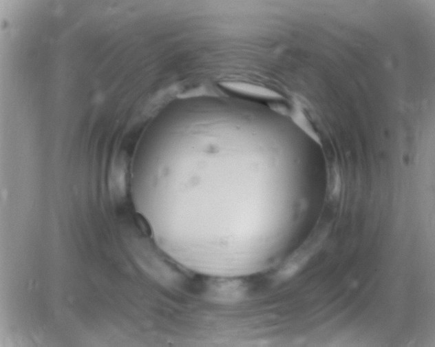 X0000081390334200701252110