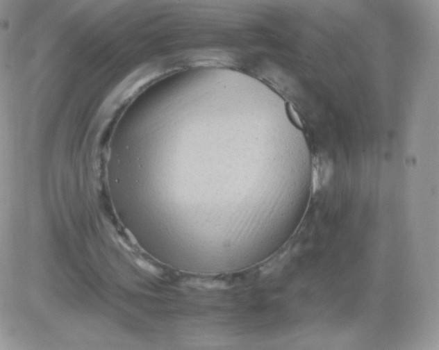 X0000081390339200701252110