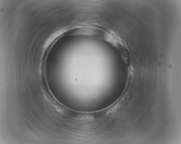 X0000081390340200701252110