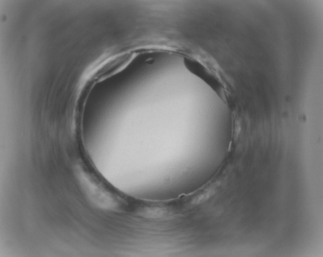 X0000081390344200701252110