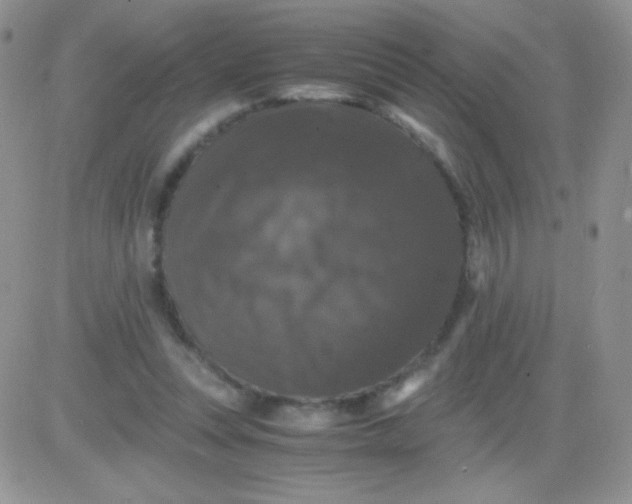 X0000081390351200701252110