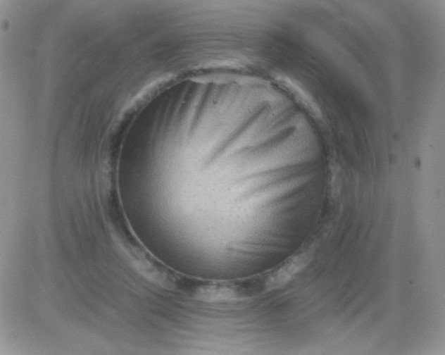 X0000081390354200701252110