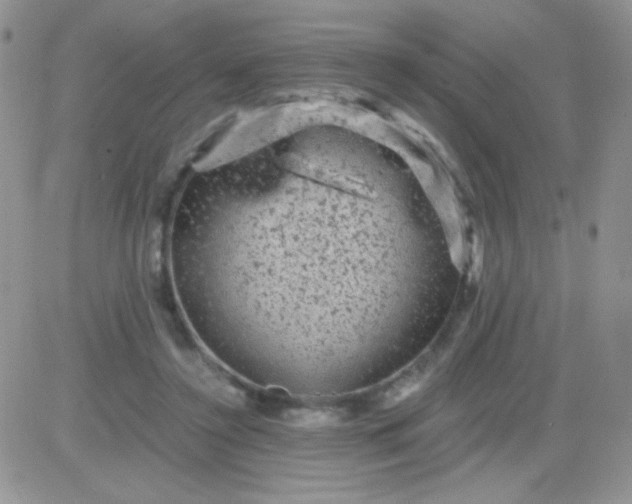 X0000081390356200701252110