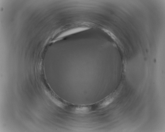 X0000081390357200701252110