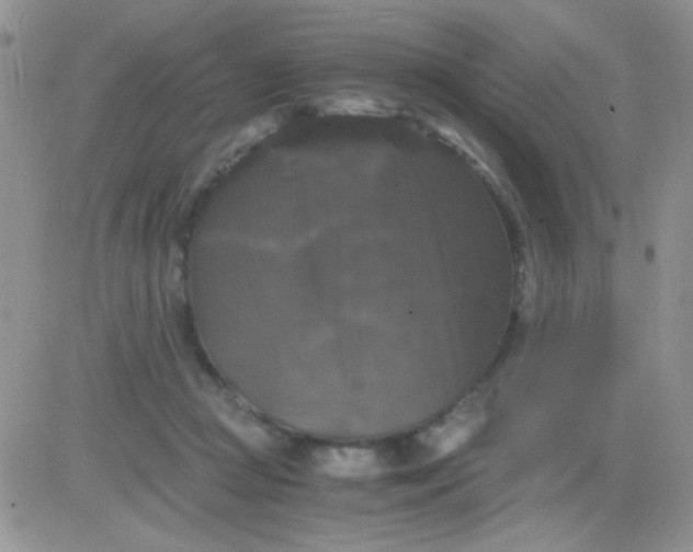 X0000081390361200701252110