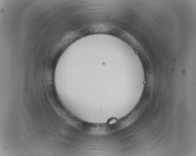 X0000081390362200701252110