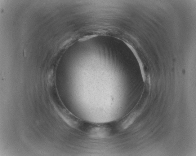 X0000081390364200701252110