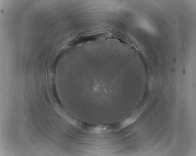 X0000081390366200701252110