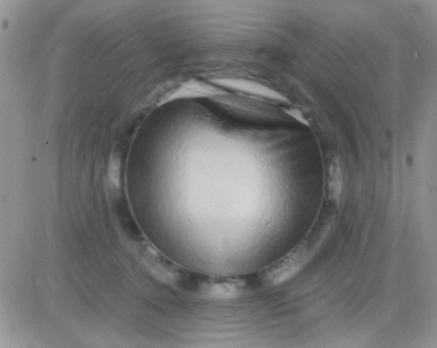 X0000081390368200701252110