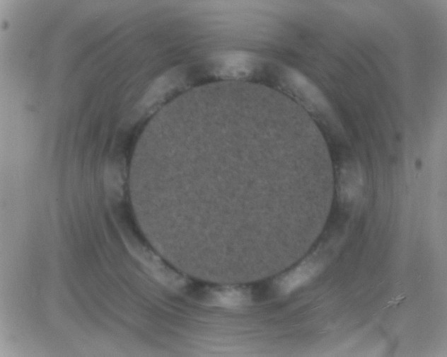 X0000081390370200701252110