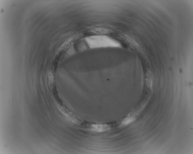 X0000081390371200701252110