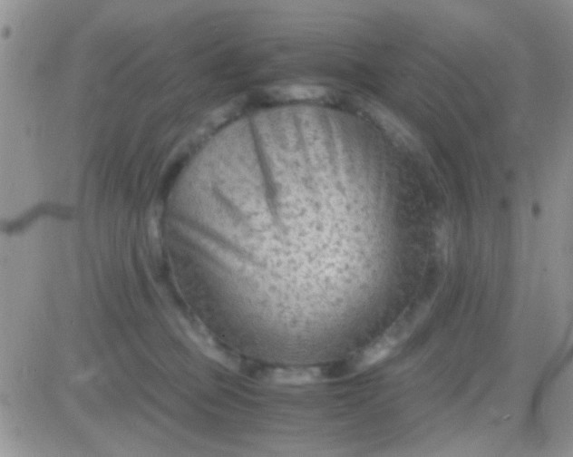 X0000081390373200701252110