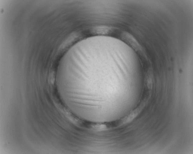 X0000081390374200701252110