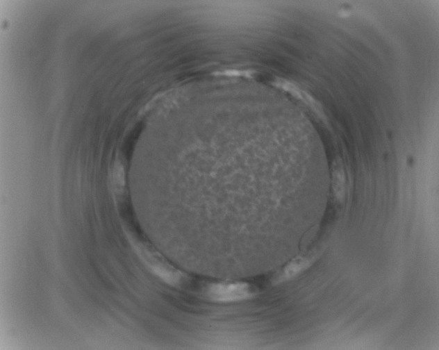 X0000081390375200701252110