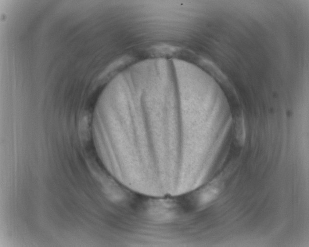 X0000081390378200701252110