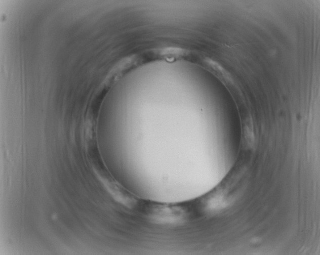 X0000081390379200701252110