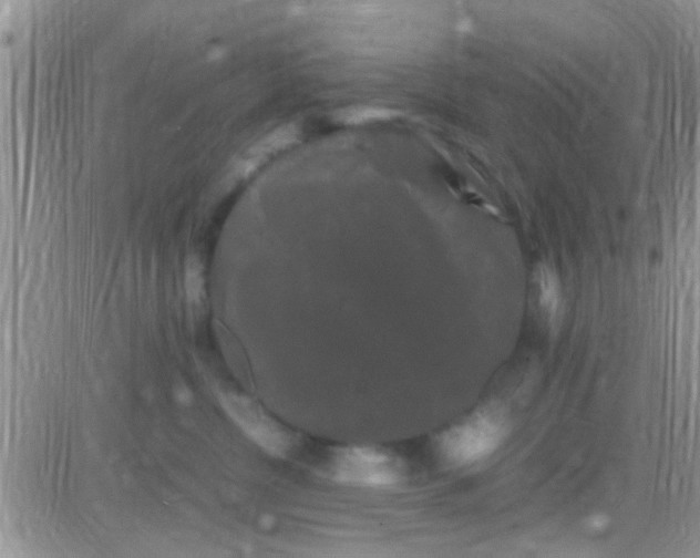 X0000081390380200701252110