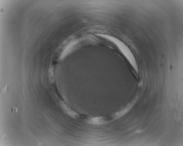 X0000081390382200701252110