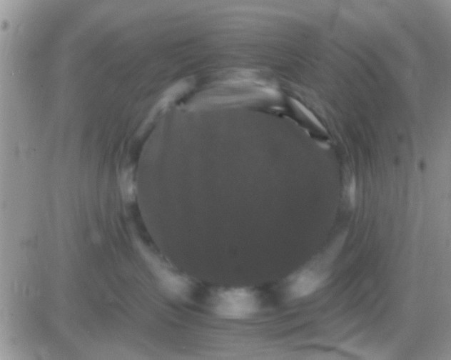 X0000081390383200701252110