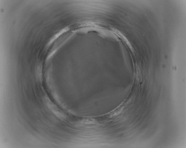 X0000081390386200701252110